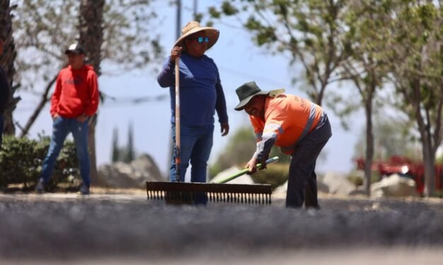 Prioridad ciudadana: más de mil peticiones y reportes atendidos