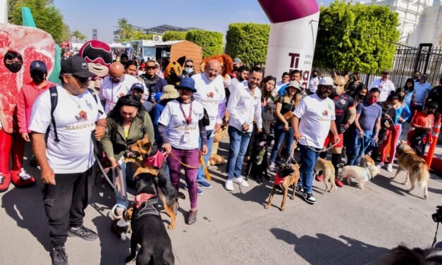 Todo listo para segunda Feria de la Mascota