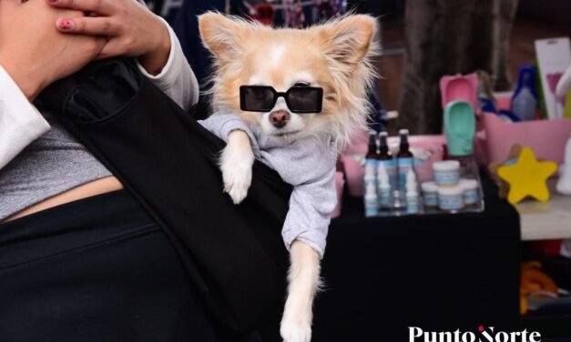 ¡Qué perro! Todo listo para tercera Feria de las Mascotas