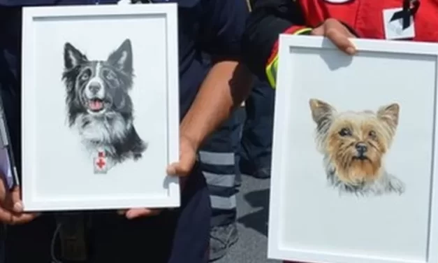 Justicia para lomitos: condena de 10 años de prisión para un hombre que mató a dos perros rescatistas en México