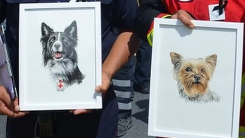 Justicia para lomitos: condena de 10 años de prisión para un hombre que mató a dos perros rescatistas en México