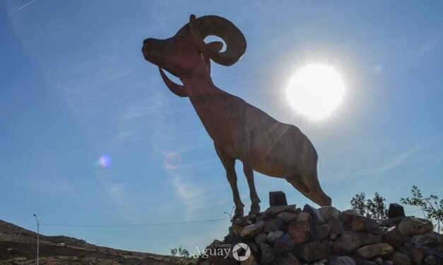 Inicia semana con cielos despejados 
