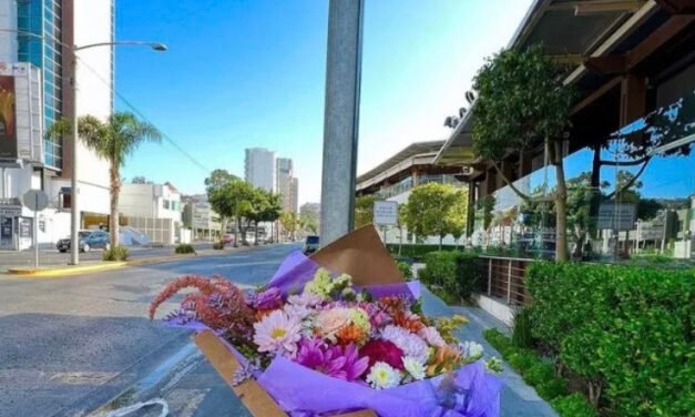 Flores por la paz 