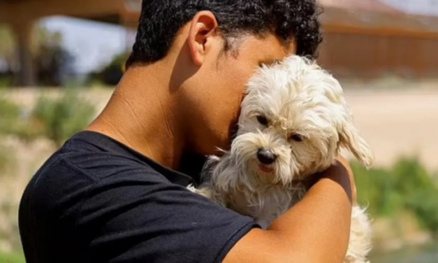 El ”sueño americano” separa a un joven migrante de su fiel perrita