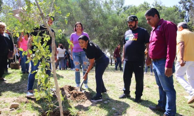 Una Tijuana más verde: Siembran más de 50 mil árboles en la ciudad