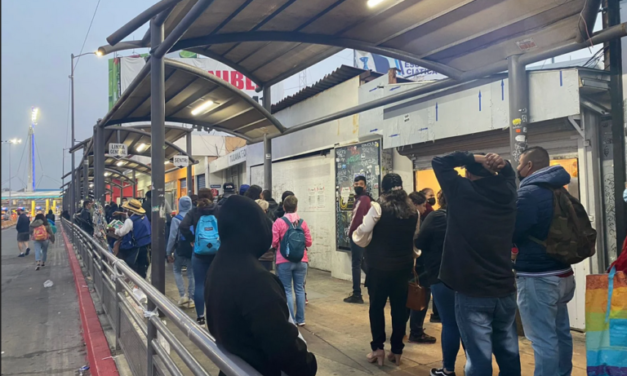 Gaviotones en la garita de San Ysidro: piden denunciar a quienes cortan la fila 