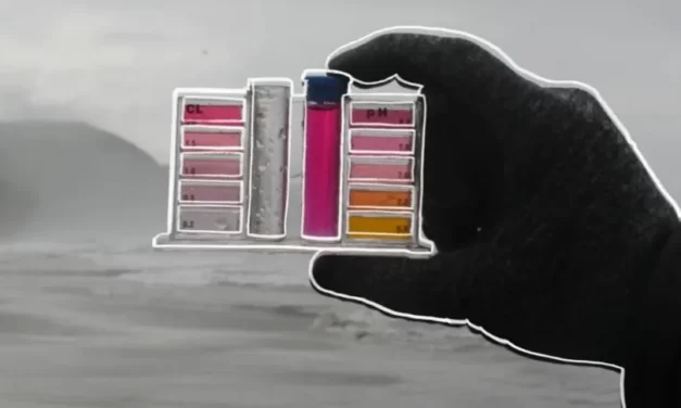 Playas de Rosarito, las más contaminadas de México