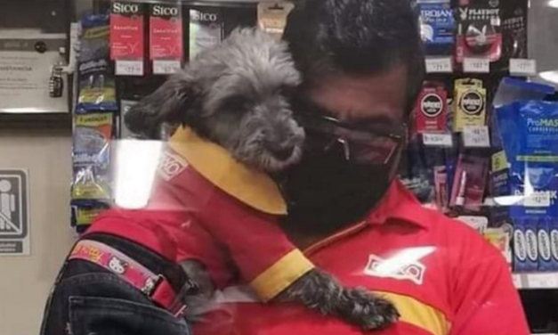 Cajero de Oxxo lleva a su perro al trabajo y hasta lleva uniforme de trabajo
