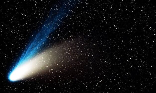 Cometa verde: Baja California será uno de los 4 estados mexicanos en donde se verá mejor 