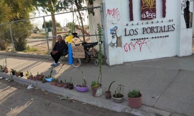 Abuelita cambia sus plantitas sembradas por ella por comida