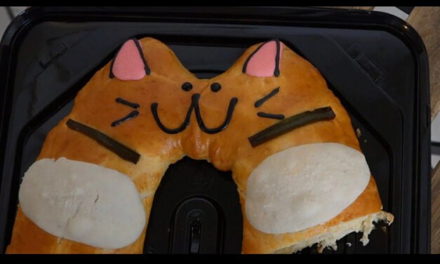 La michi-rosca: la rosca que apoya a gatitos rescatados 