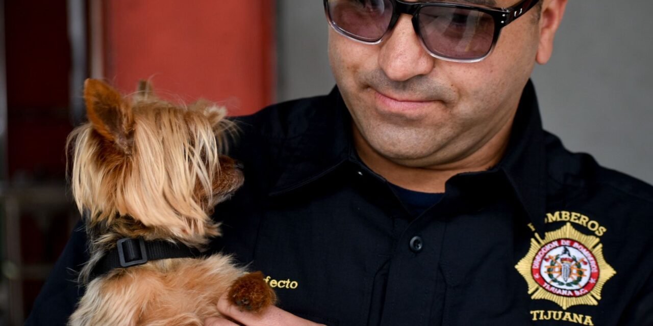 Reciben Bomberos de Tijuana kits de RCP para mascotas