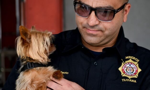 Reciben Bomberos de Tijuana kits de RCP para mascotas