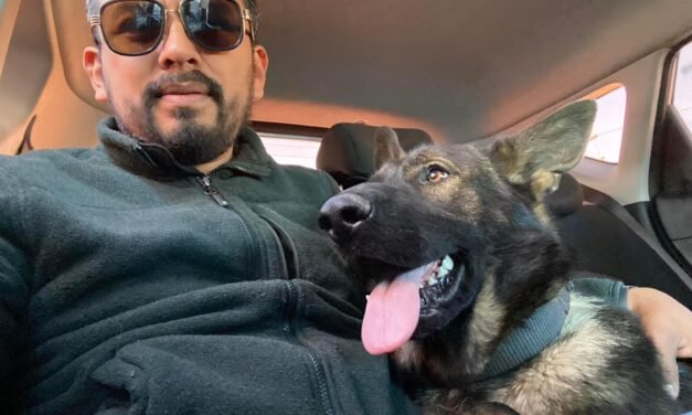 Perro vuelve con su dueño; lo buscaba desde 2019
