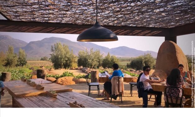 Eligen al Valle de Guadalupe como el destino más hospitalario de México