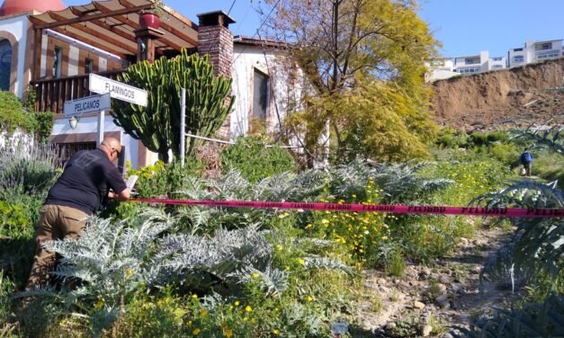 Atiende Protección Civil colapso de muro de contención en Colinas de Chapultepec