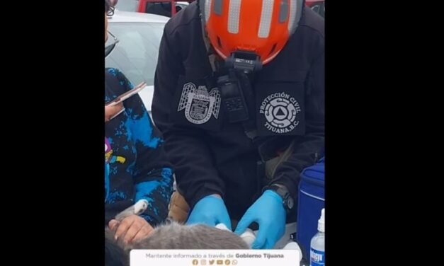 Protección Civil da primeros auxilios a gatito herido por explosión en Colinas de California 