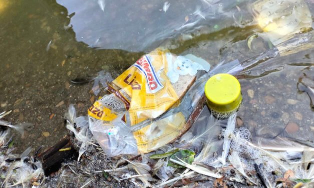 AYUNTAMIENTO DE TIJUANA EXHORTA A LA COMUNIDAD A CUIDAR EL LAGO DEL PARQUE MORELOS