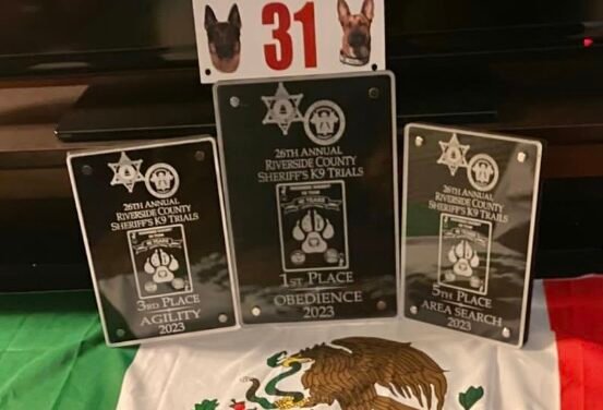 UNIDAD K9 DE TIJUANA DESTACA EN COMPETENCIA INTERNACIONAL