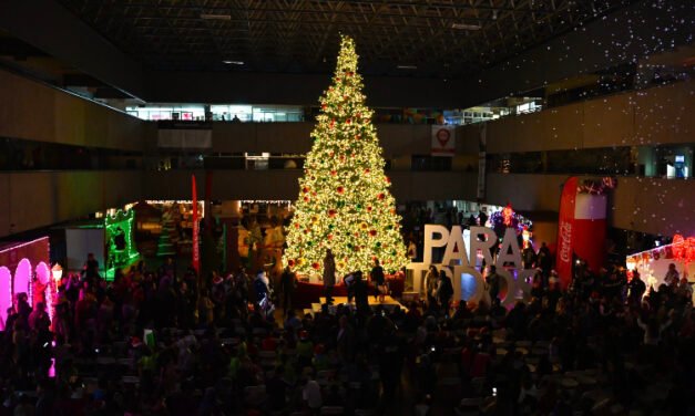 ENCIENDEN ARBOL NAVIDEÑO DE MÁS 10 METROS DE ALTURA EN PALACIO MUNICIPAL