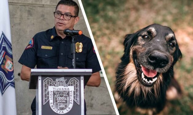 MALTRATO VS. CRUELDAD ANIMAL: ¿YA SABES LA DIFERENCIA? EL GOBIERNO DE TIJUANA, AHORA SÍ
