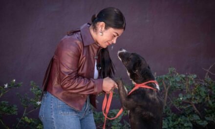 MÁS DE 150 PERRITOS Y GATOS BUSCAN UNA SEGUNDA OPORTUNIDAD EN TIJUANA