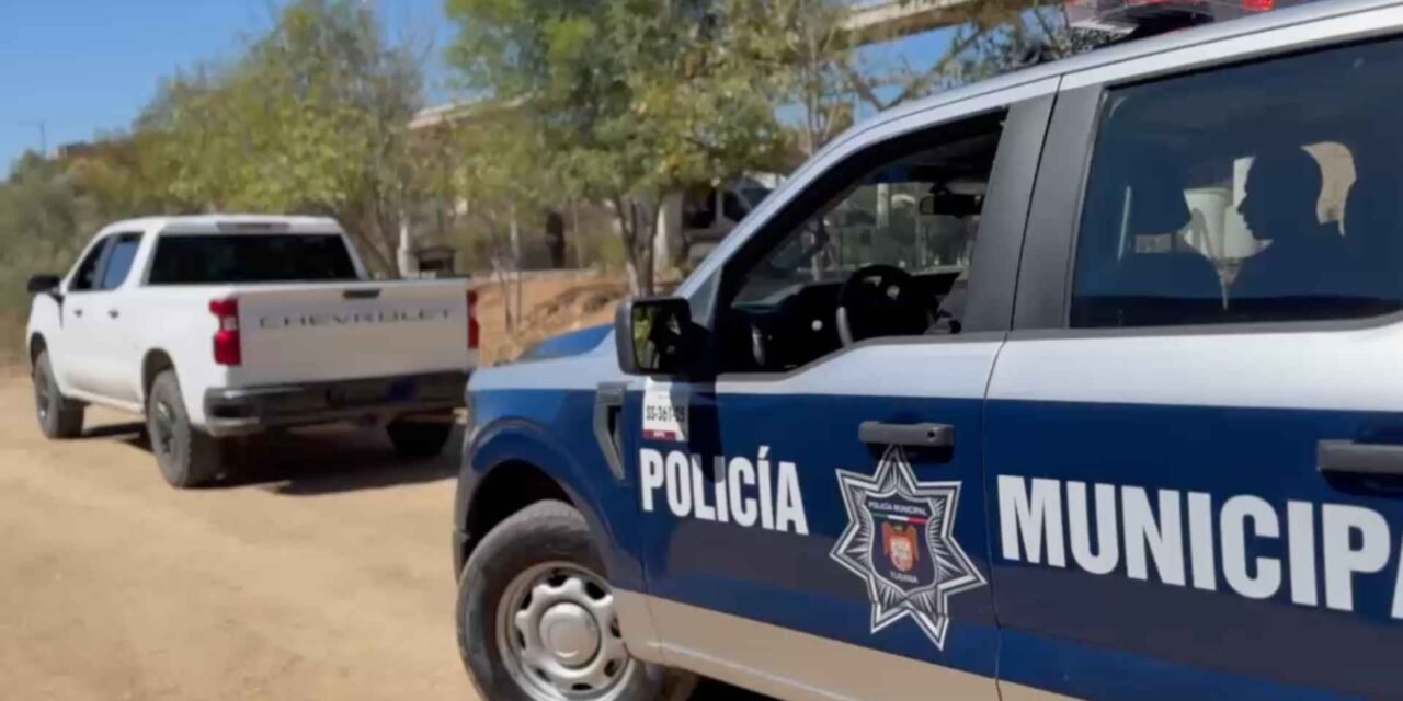 226 DETENIDOS EN UNA SEMANA: TIJUANA REFUERZA SU LUCHA CONTRA EL CRIMEN