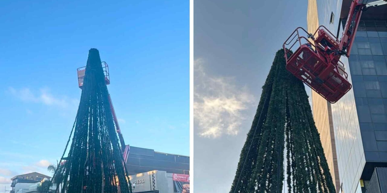 TIJUANA SE ALISTA PARA BRILLAR: LLEGA EL ARBOLITO COCA-COLA A LA AV. REVOLUCIÓN