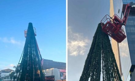 TIJUANA SE ALISTA PARA BRILLAR: LLEGA EL ARBOLITO COCA-COLA A LA AV. REVOLUCIÓN