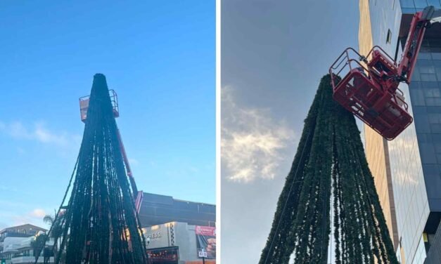 TIJUANA SE ALISTA PARA BRILLAR: LLEGA EL ARBOLITO COCA-COLA A LA AV. REVOLUCIÓN