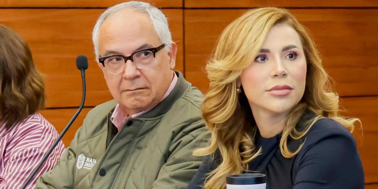 MARINA DEL PILAR DA LUZ VERDE AL APOYO PARA PRODUCTORES DE TRIGO EN BC: POR FIN HAY CERTEZA PARA EL CAMPO