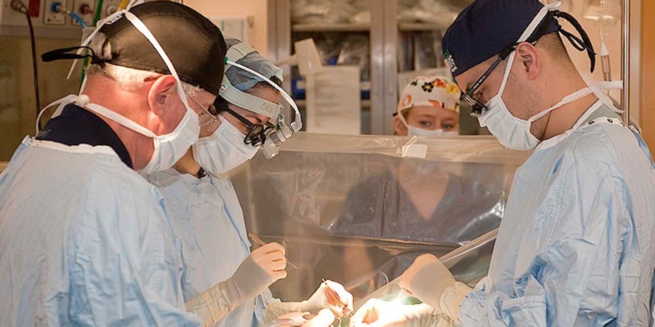 ES DURO LO QUE VOY A DECIR, PERO ES NECESARIO