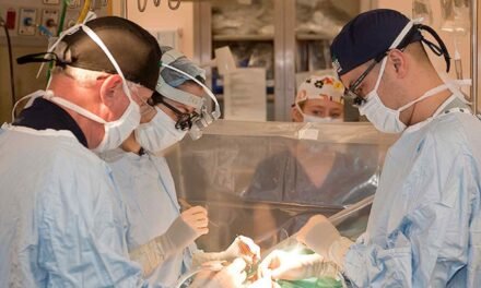 ES DURO LO QUE VOY A DECIR, PERO ES NECESARIO