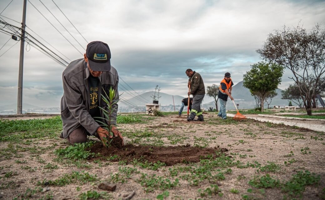 ARRANCA 2026 CON LIMPIEZA: AYUNTAMIENTO DE TIJUANA RECOLECTA MÁS DE 56 TONELADAS DE BASURA EN PRIMERA JORNADA DE “TIJUANA: CIUDAD LIMPIA”