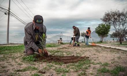 ARRANCA 2026 CON LIMPIEZA: AYUNTAMIENTO DE TIJUANA RECOLECTA MÁS DE 56 TONELADAS DE BASURA EN PRIMERA JORNADA DE “TIJUANA: CIUDAD LIMPIA”