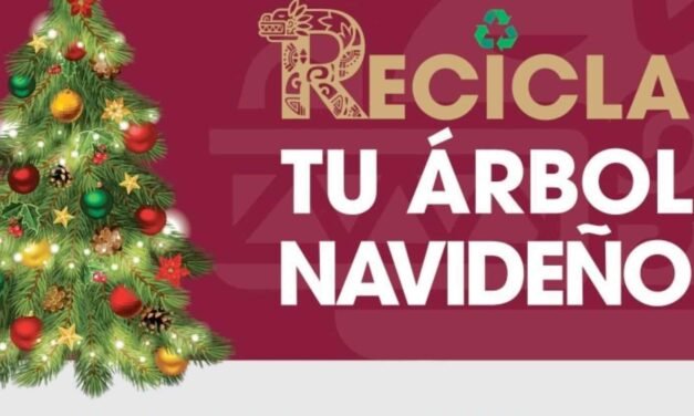 ÚLTIMOS DÍAS PARA RECICLAR TU PINO EN TIJUANA; CAMPAÑA CIERRA EL 7 DE FEBRERO