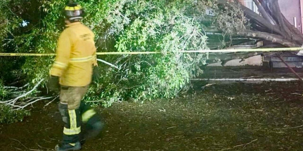 MÁS DE 60 INCIDENTES POR LLUVIA Y VIENTOS EN TIJUANA; RACHAS ALCANZAN LOS 80 KM/H