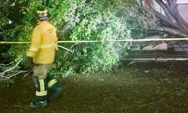 MÁS DE 60 INCIDENTES POR LLUVIA Y VIENTOS EN TIJUANA; RACHAS ALCANZAN LOS 80 KM/H