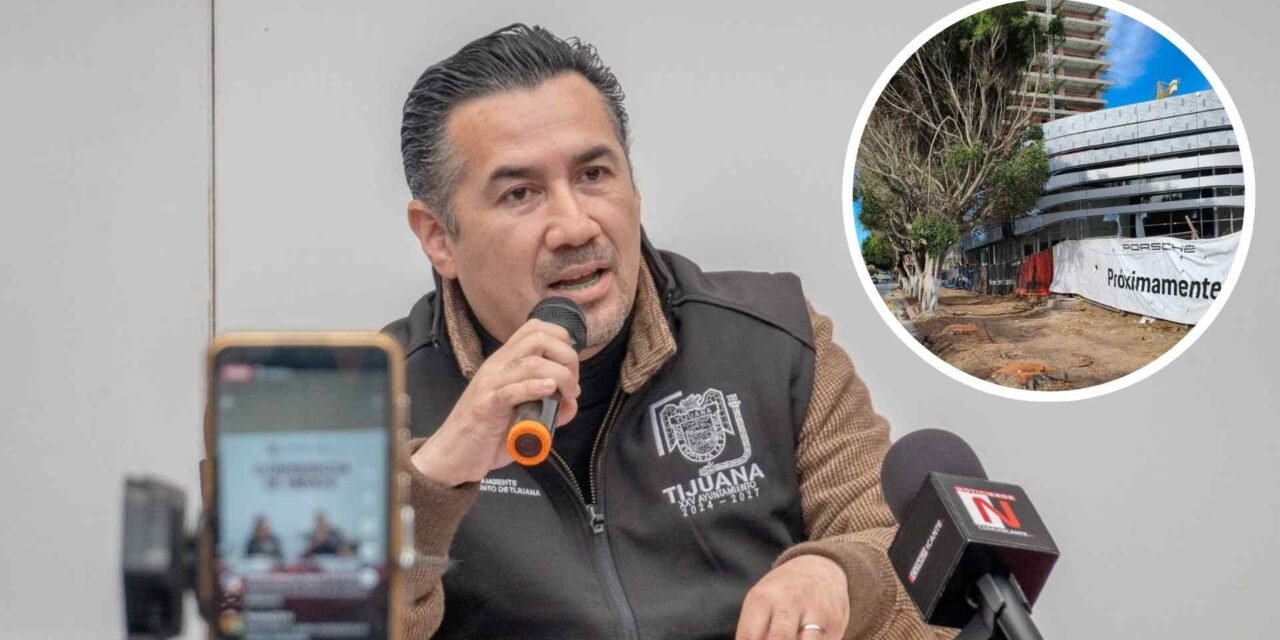 TRAS POLÉMICA POR ÁRBOLES EN OBRA DE PORSCHE, TIJUANA ANUNCIA CAMPAÑA DE REFORESTACIÓN