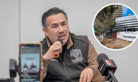 TRAS POLÉMICA POR ÁRBOLES EN OBRA DE PORSCHE, TIJUANA ANUNCIA CAMPAÑA DE REFORESTACIÓN
