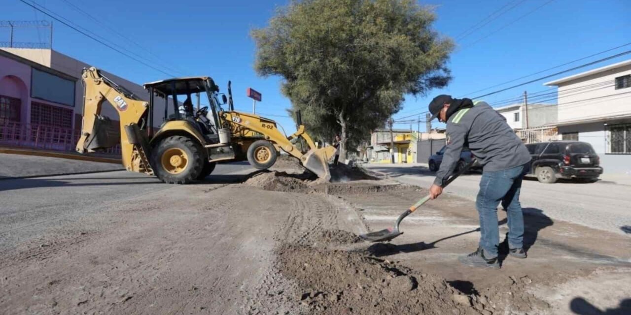 MÁS LIMPIEZA EN TIJUANA: RETIRAN 26 TONELADAS DE BASURA Y REHABILITAN PARQUES 🧹🌳