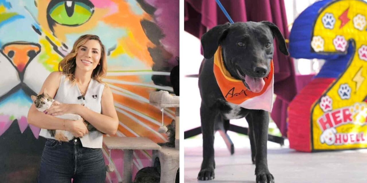 EL SANTUARIO MILY CUMPLE 2 AÑOS… Y LA INVITACIÓN ES CLARA: ADOPTA 🐶❤️