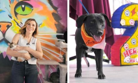 EL SANTUARIO MILY CUMPLE 2 AÑOS… Y LA INVITACIÓN ES CLARA: ADOPTA 🐶❤️