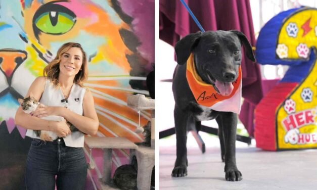 EL SANTUARIO MILY CUMPLE 2 AÑOS… Y LA INVITACIÓN ES CLARA: ADOPTA 🐶❤️