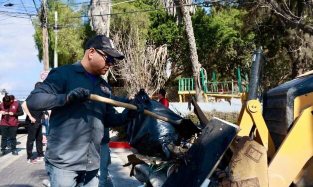 Operación limpieza en tres delegaciones: Más de 9 mil vecinos beneficiados, pero el reto de la basura sigue en pie