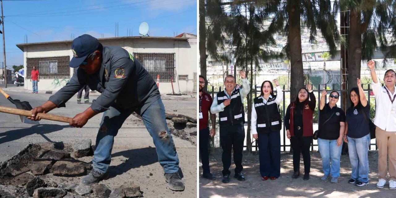 Más de 28 toneladas de basura fuera y luz en las calles: La limpieza que la familia tijuanense necesita
