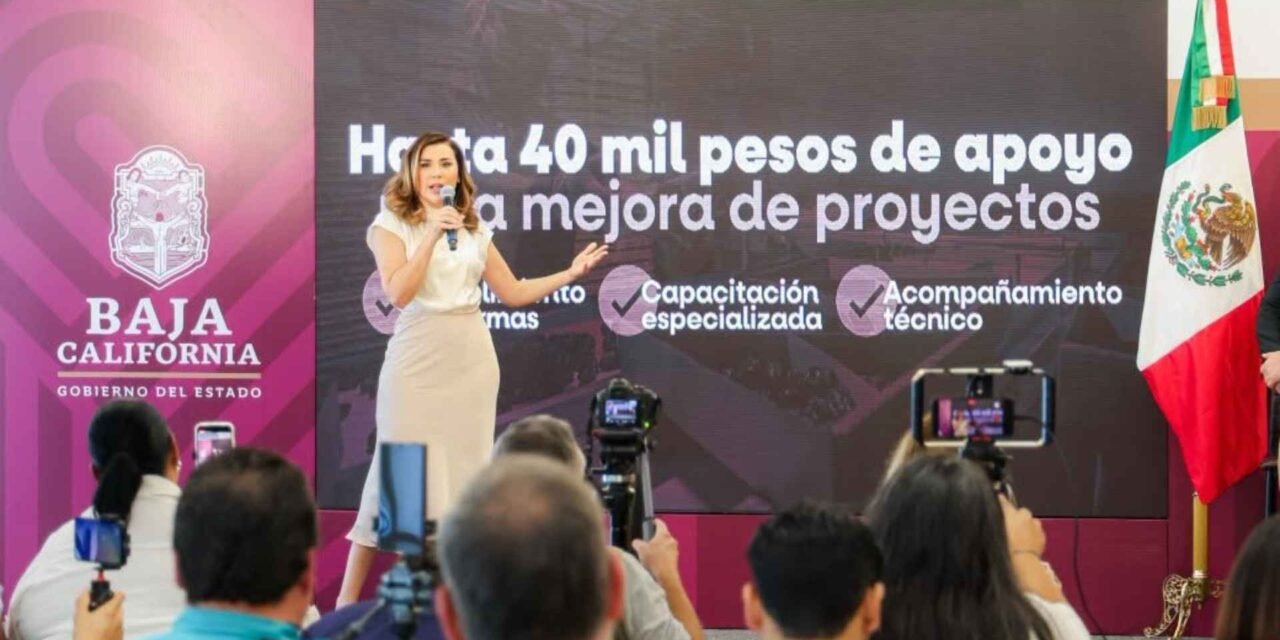 Impulso al campo local: Baja California fortalece a sus emprendedores agroalimentarios