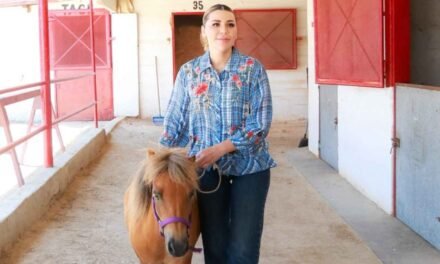 Entrega Gobierno de Baja California calandrias eléctricas para impulsar el turismo y el bienestar animal en Rosarito