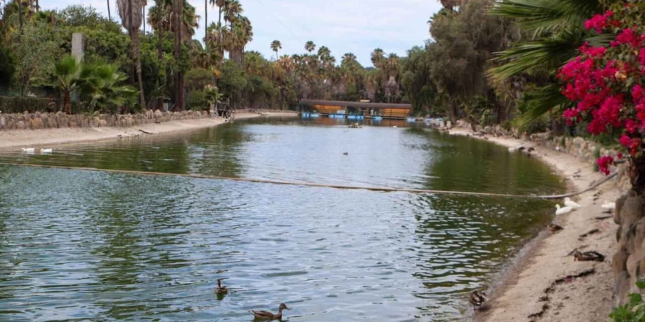 Cerrarán zoológico del Parque Morelos en Tijuana; buscan reubicar a más de 160 animales