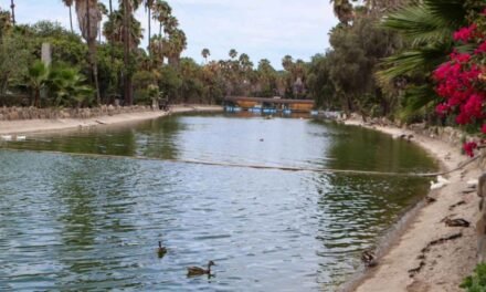 Cerrarán zoológico del Parque Morelos en Tijuana; buscan reubicar a más de 160 animales